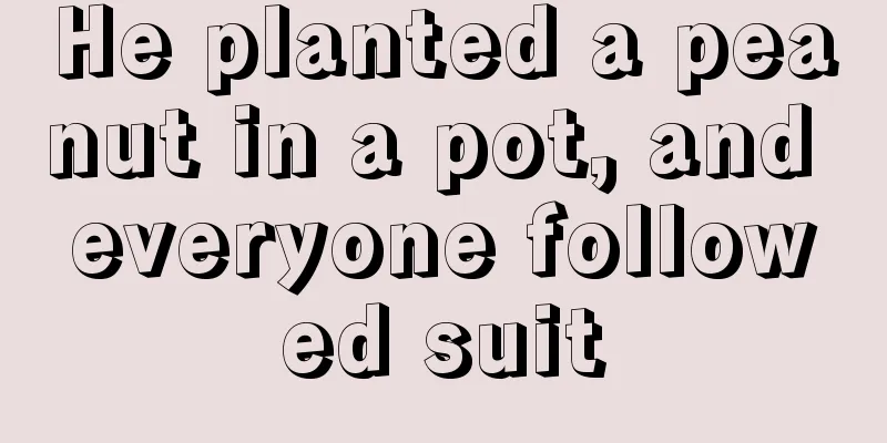 He planted a peanut in a pot, and everyone followed suit