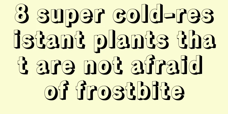 8 super cold-resistant plants that are not afraid of frostbite