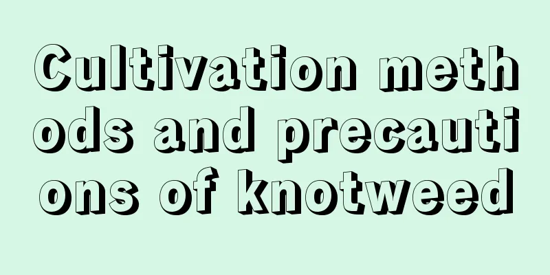 Cultivation methods and precautions of knotweed