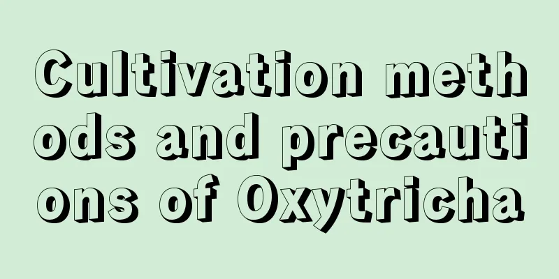 Cultivation methods and precautions of Oxytricha