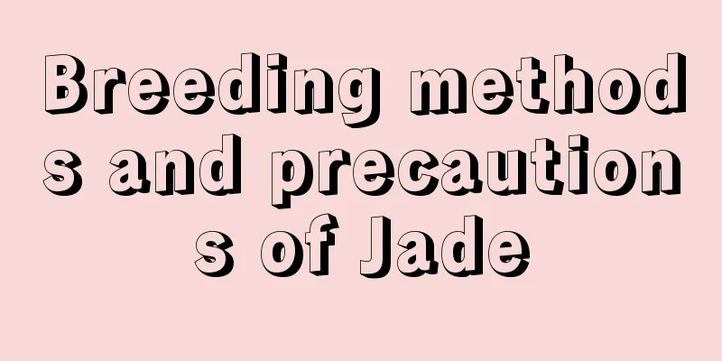 Breeding methods and precautions of Jade