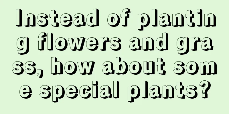 Instead of planting flowers and grass, how about some special plants?