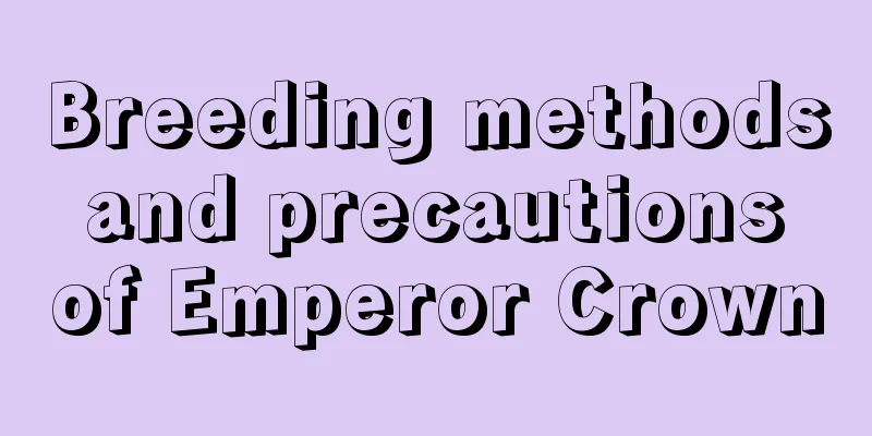 Breeding methods and precautions of Emperor Crown