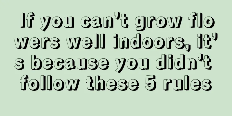 If you can’t grow flowers well indoors, it’s because you didn’t follow these 5 rules