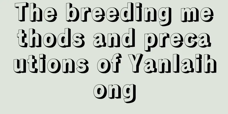 The breeding methods and precautions of Yanlaihong