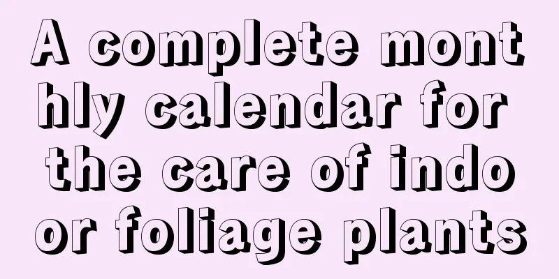 A complete monthly calendar for the care of indoor foliage plants