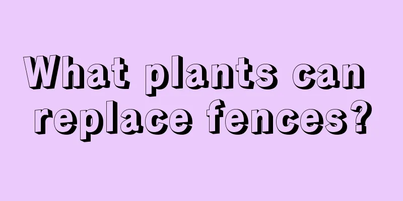 What plants can replace fences?