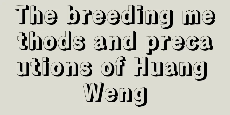 The breeding methods and precautions of Huang Weng