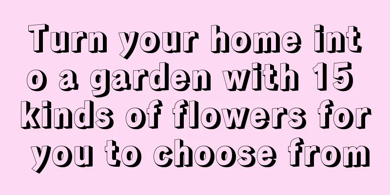 Turn your home into a garden with 15 kinds of flowers for you to choose from