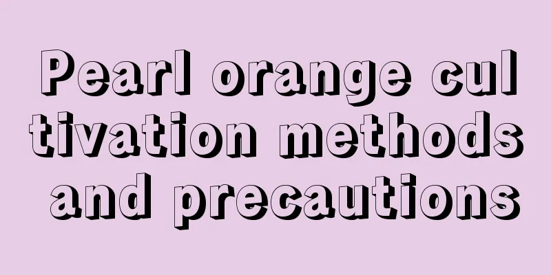 Pearl orange cultivation methods and precautions