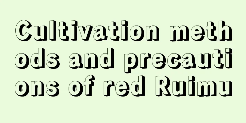 Cultivation methods and precautions of red Ruimu