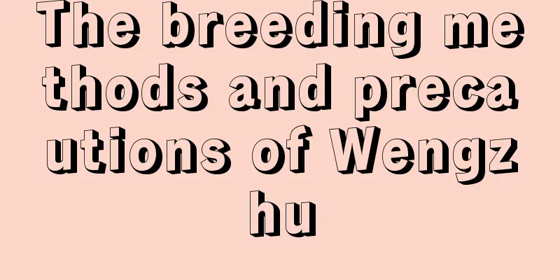 The breeding methods and precautions of Wengzhu