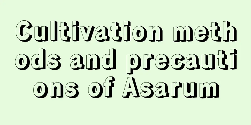 Cultivation methods and precautions of Asarum