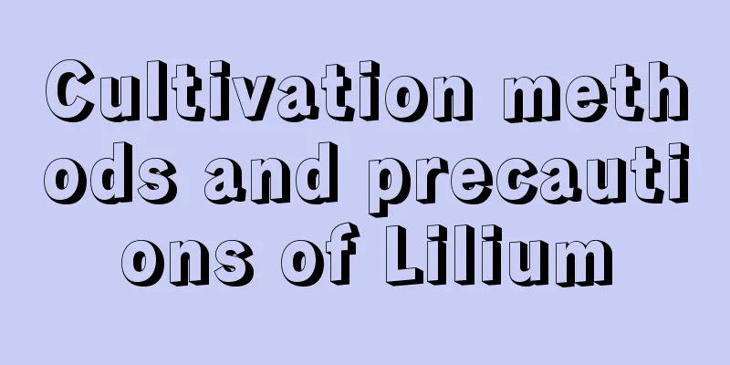 Cultivation methods and precautions of Lilium