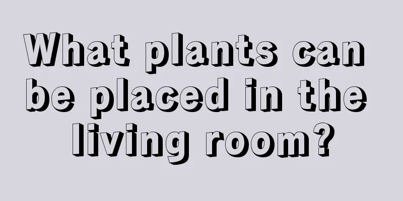 What plants can be placed in the living room?