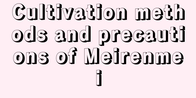 Cultivation methods and precautions of Meirenmei