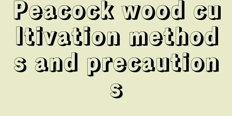 Peacock wood cultivation methods and precautions