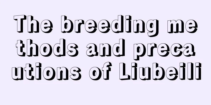 The breeding methods and precautions of Liubeili