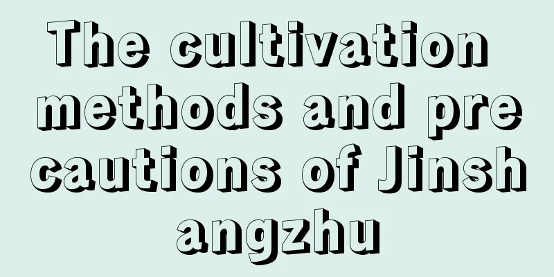 The cultivation methods and precautions of Jinshangzhu