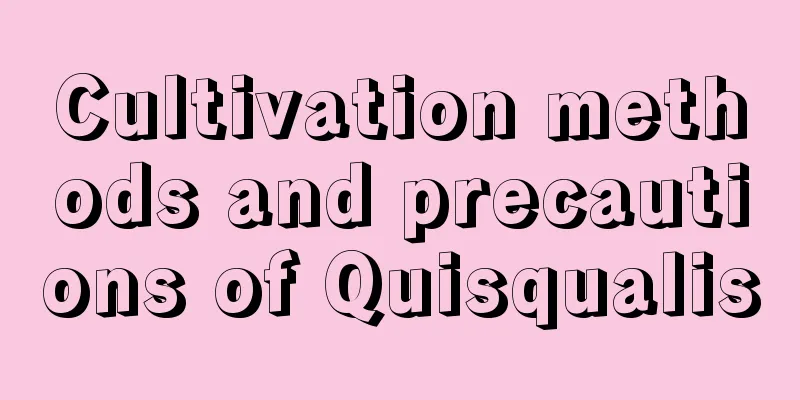 Cultivation methods and precautions of Quisqualis