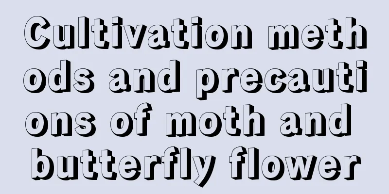 Cultivation methods and precautions of moth and butterfly flower