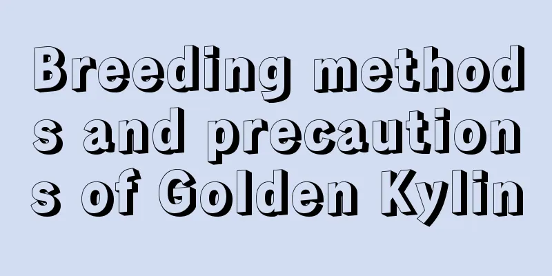 Breeding methods and precautions of Golden Kylin