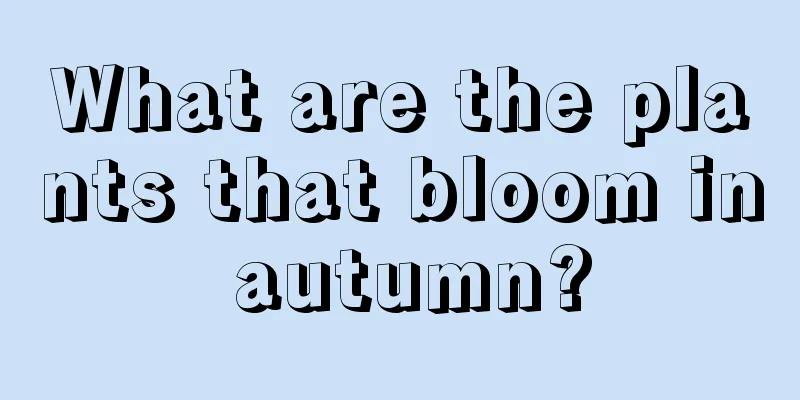 What are the plants that bloom in autumn?