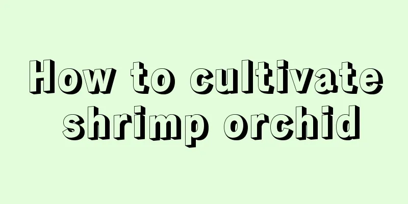 How to cultivate shrimp orchid