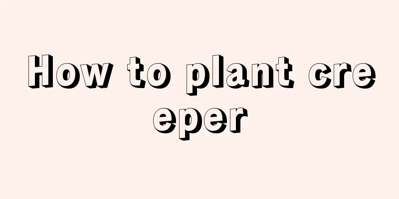 How to plant creeper