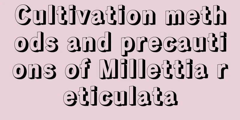 Cultivation methods and precautions of Millettia reticulata