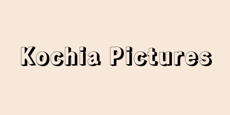 Kochia Pictures