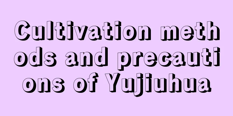 Cultivation methods and precautions of Yujiuhua