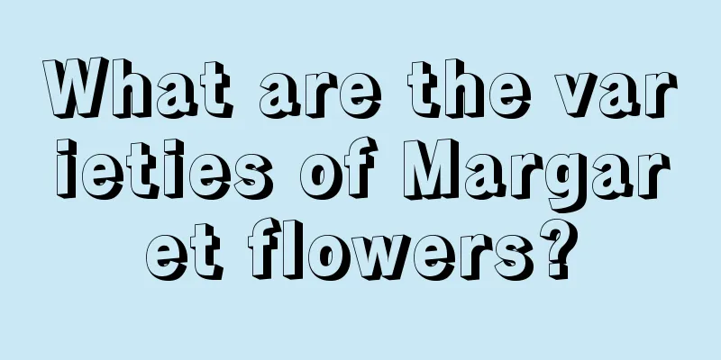 What are the varieties of Margaret flowers?