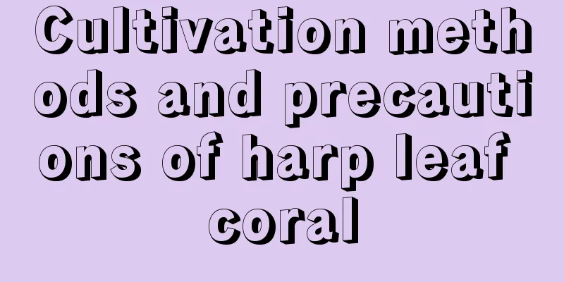 Cultivation methods and precautions of harp leaf coral