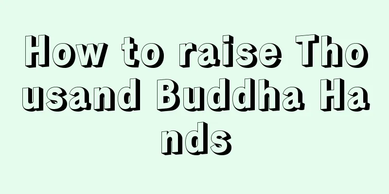 How to raise Thousand Buddha Hands