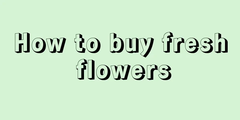 How to buy fresh flowers