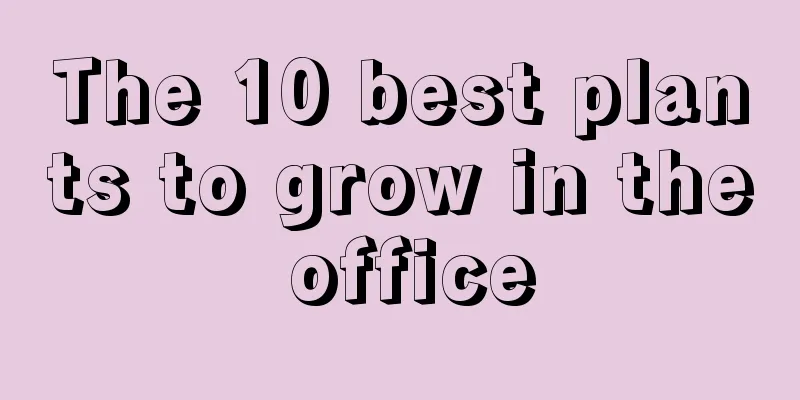 The 10 best plants to grow in the office