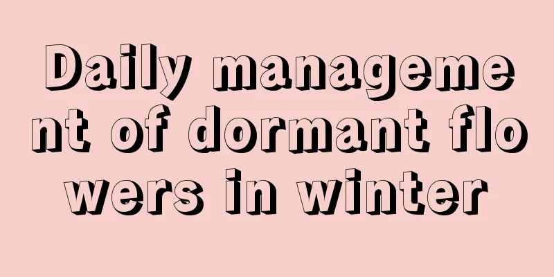 Daily management of dormant flowers in winter