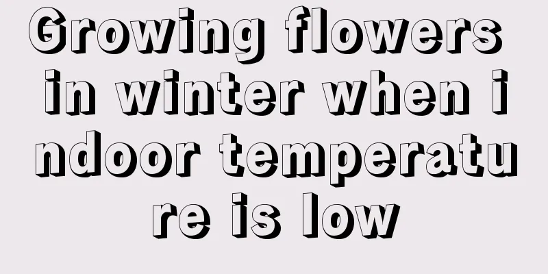 Growing flowers in winter when indoor temperature is low