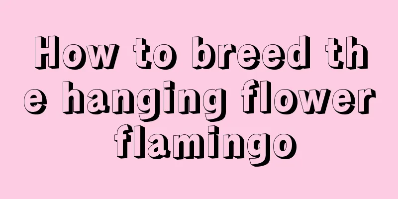 How to breed the hanging flower flamingo