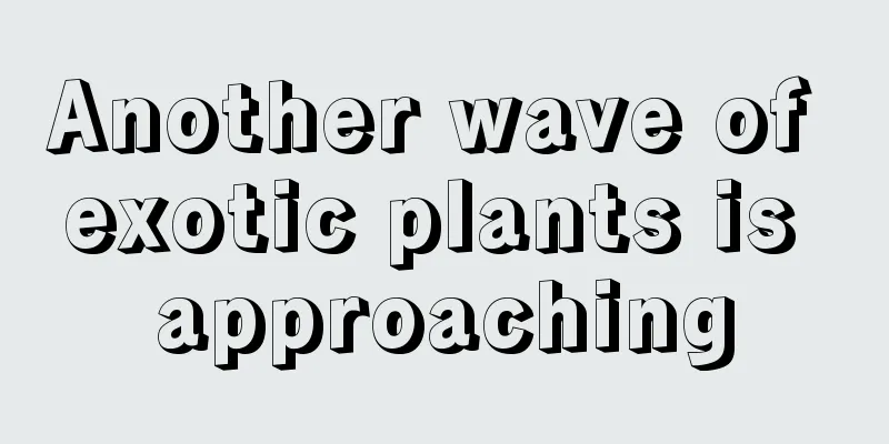 Another wave of exotic plants is approaching