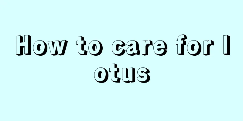 How to care for lotus