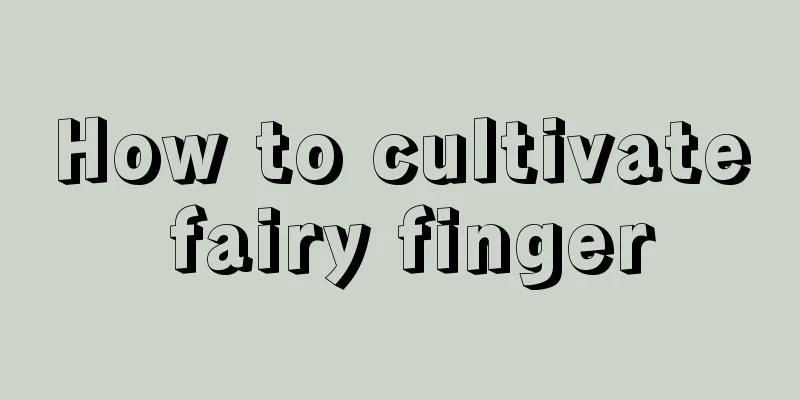 How to cultivate fairy finger