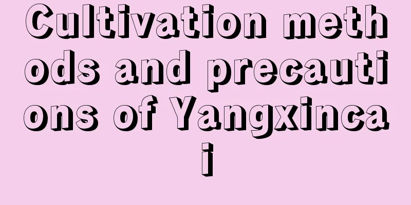 Cultivation methods and precautions of Yangxincai