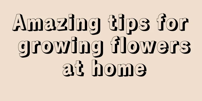 Amazing tips for growing flowers at home