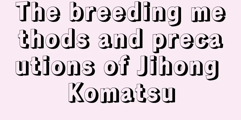 The breeding methods and precautions of Jihong Komatsu