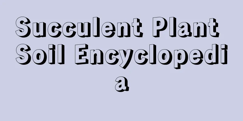 Succulent Plant Soil Encyclopedia