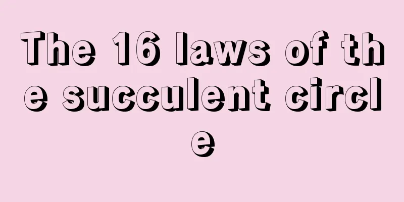 The 16 laws of the succulent circle