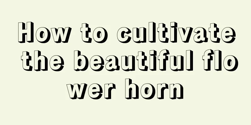 How to cultivate the beautiful flower horn