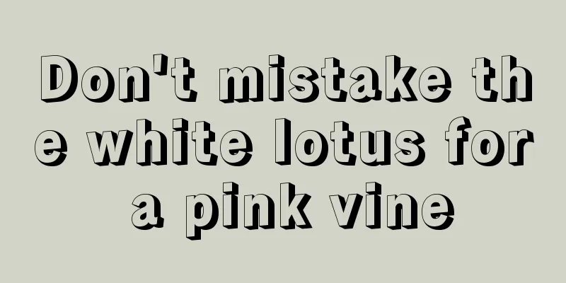 Don't mistake the white lotus for a pink vine